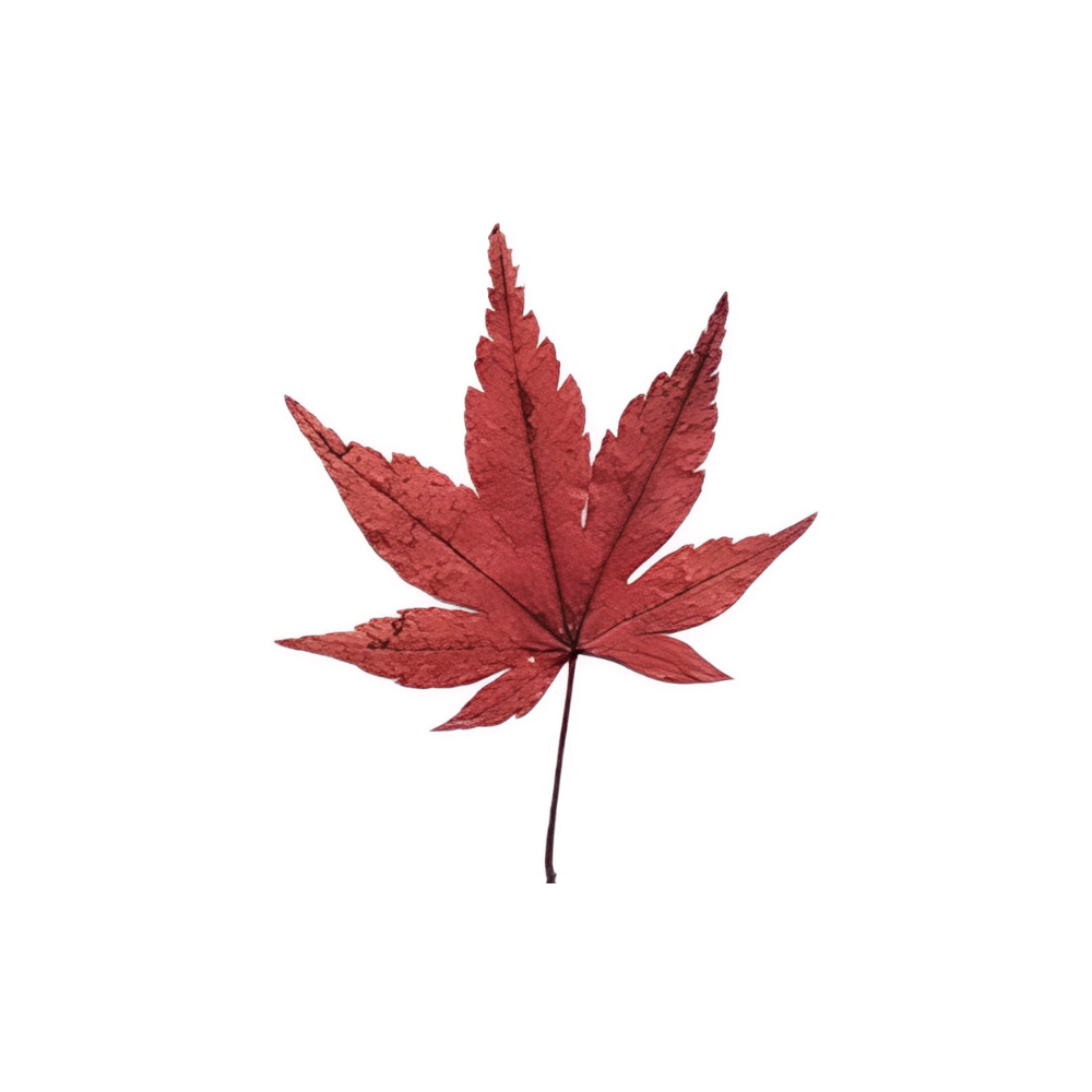 Momiji Reflections Tray