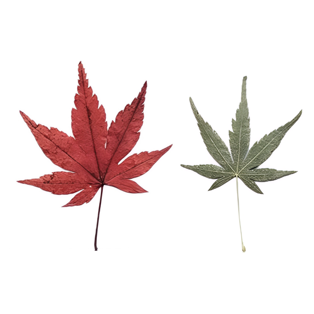 Momiji Reflections Tray