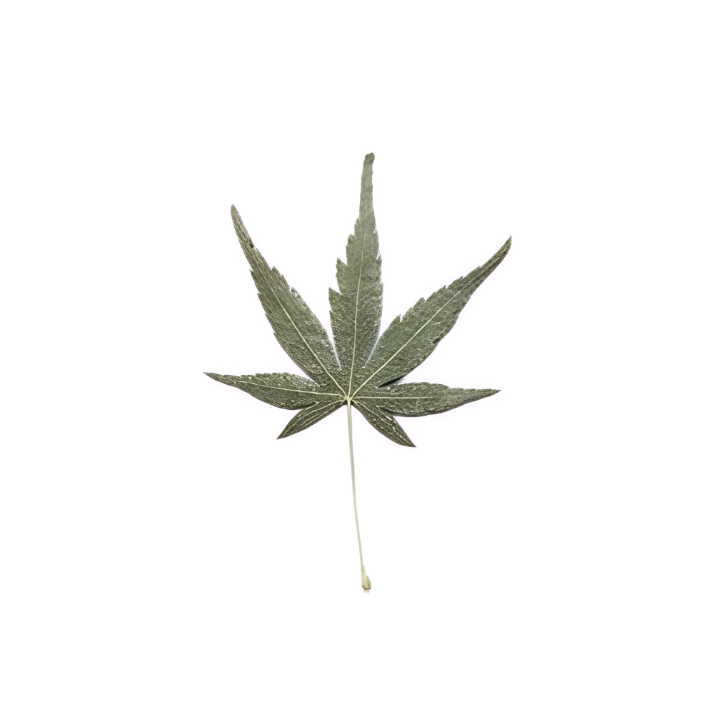 Momiji Reflections Tray
